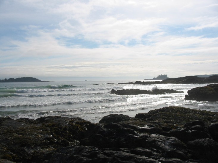 The view from the beach south of Tofino