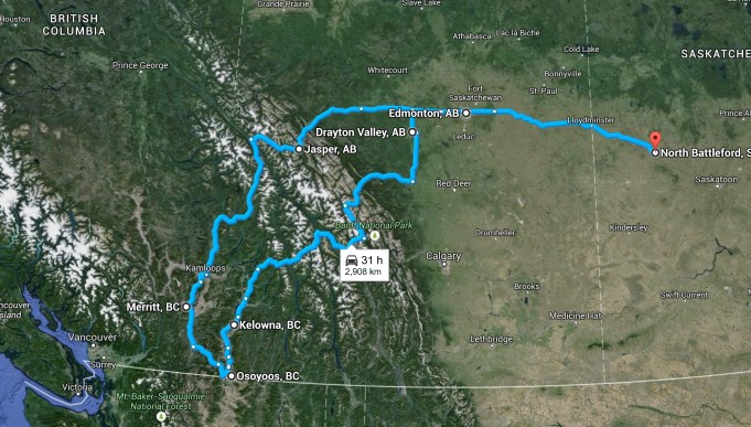 The Return to the Vines