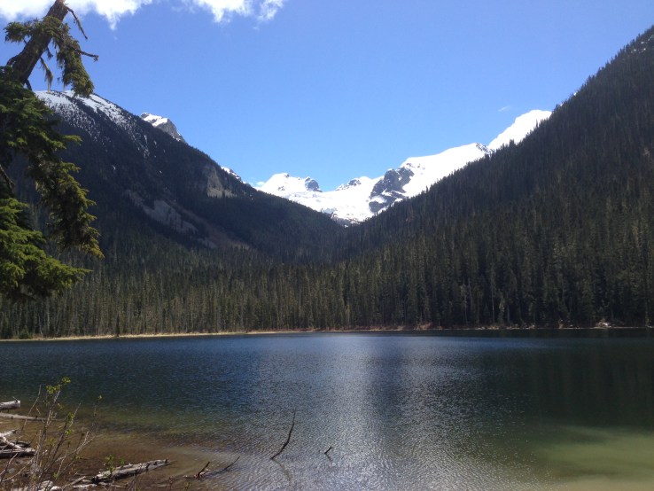 The glacier we hiked to see