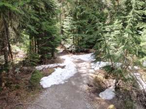 We hiked down this snowy trail to see the Glacier