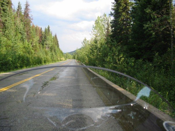 On the highway to the Needles ferry where the moose ran out