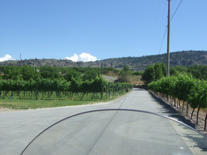 Riding up the driveway at Silver Sage