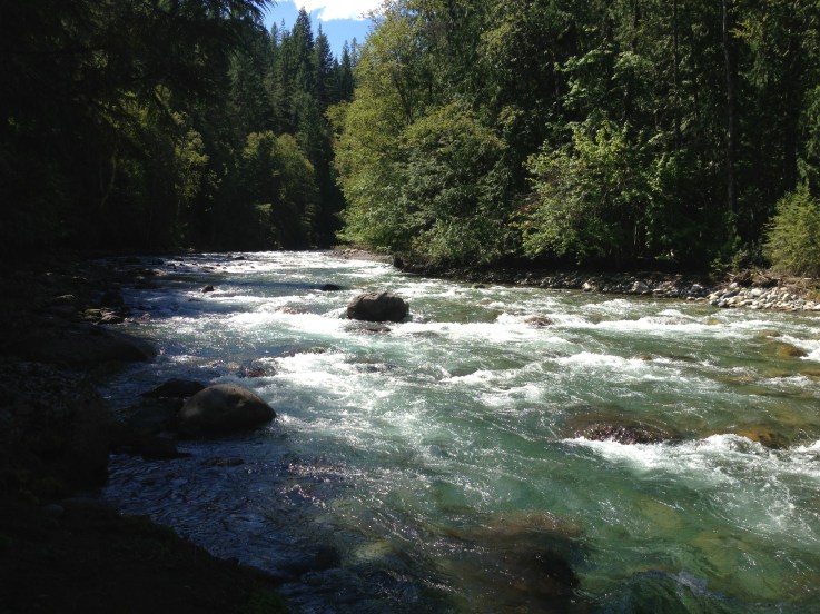 Along the River Trail