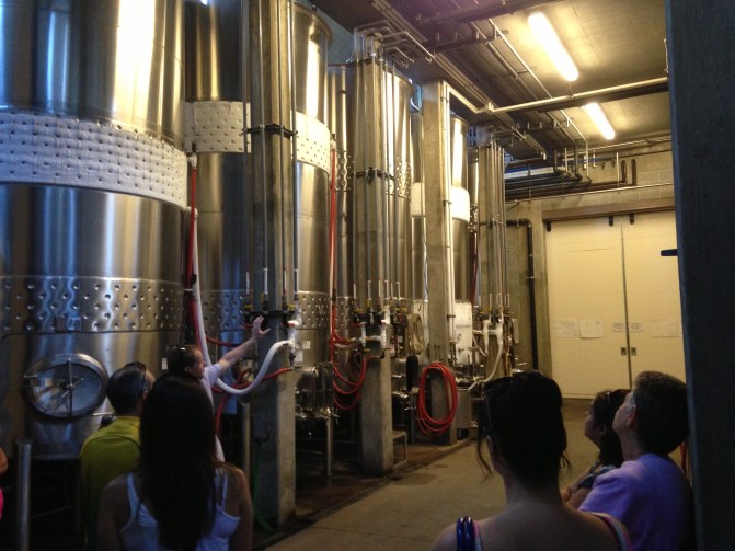 Heather had never been to a winery before so I took her on a tour of Cedar Creek before we did any tasting.