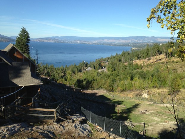 Of course we hit the Carmelis Goat Cheese Artisan