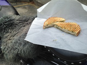 Another panini bike seat lunch in New Denver