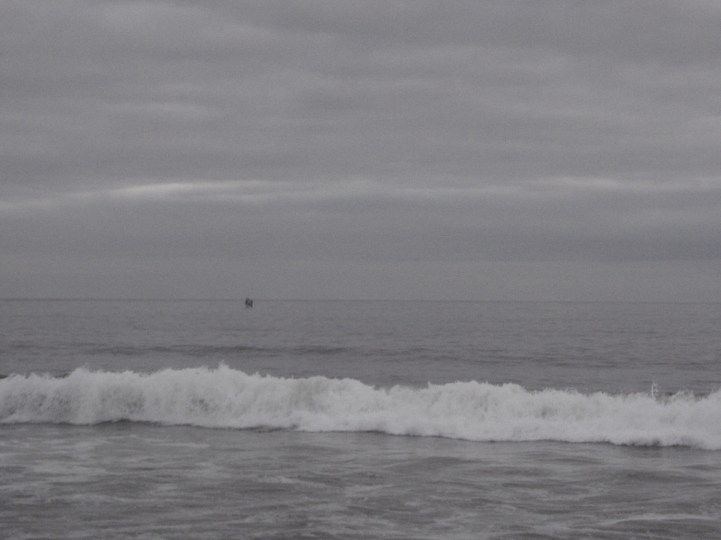 There you go.  A whale dancing for me. 