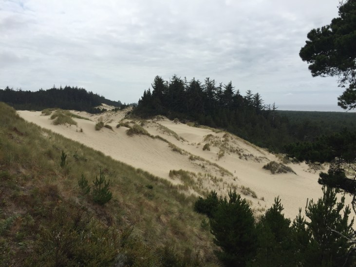 You actually can't see many sand dunes from the highway, but I did catch this.