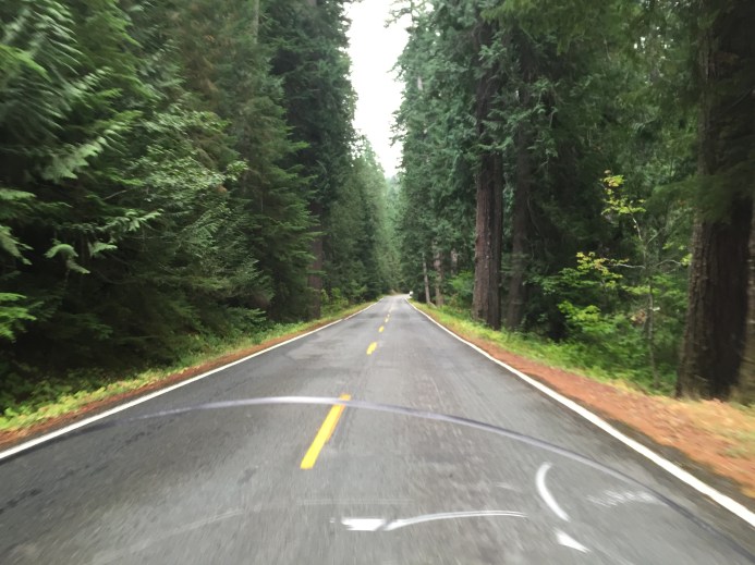 The ride west of Cliffdell got forested real quick