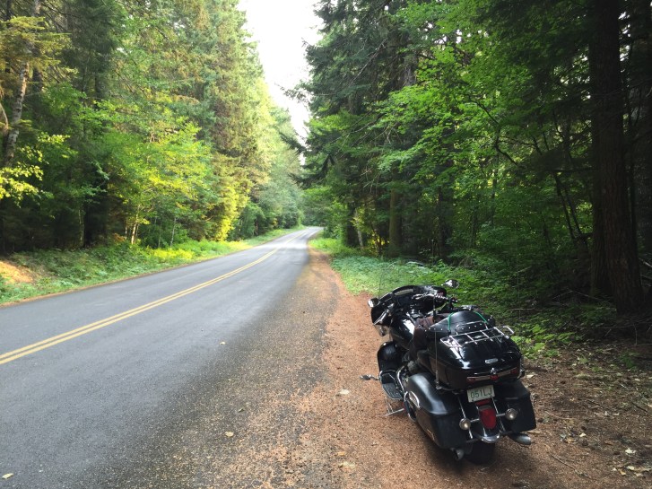 Riding the National Forest through to Packwood