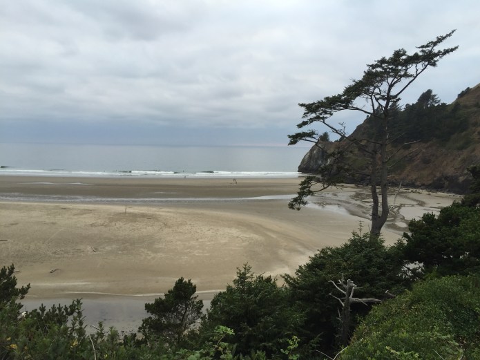 That's the view of Agate Beach from my motel