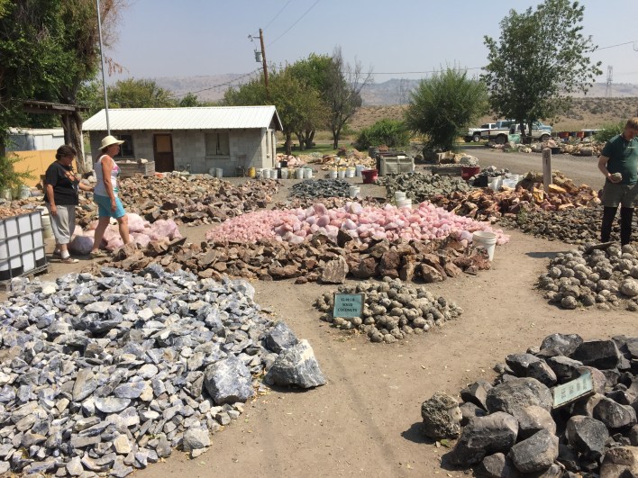 Some of the mounds at the Rock Ranch