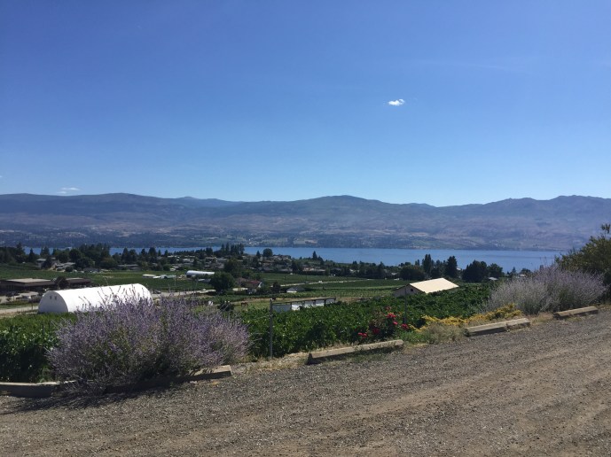 From the Little Straw parking lot