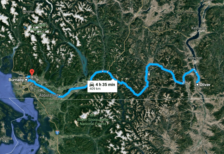 Screen Shot 2018-08-15 at 8.59.43 AM